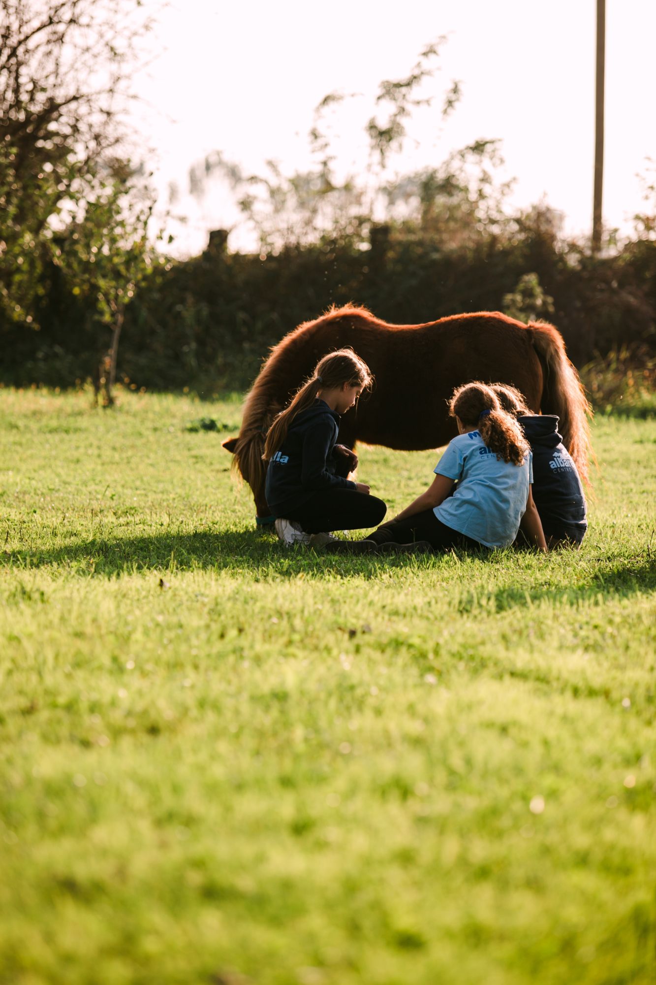 Bambini con i pony al Centro Ippico Albarella, maneggio a Treviglio